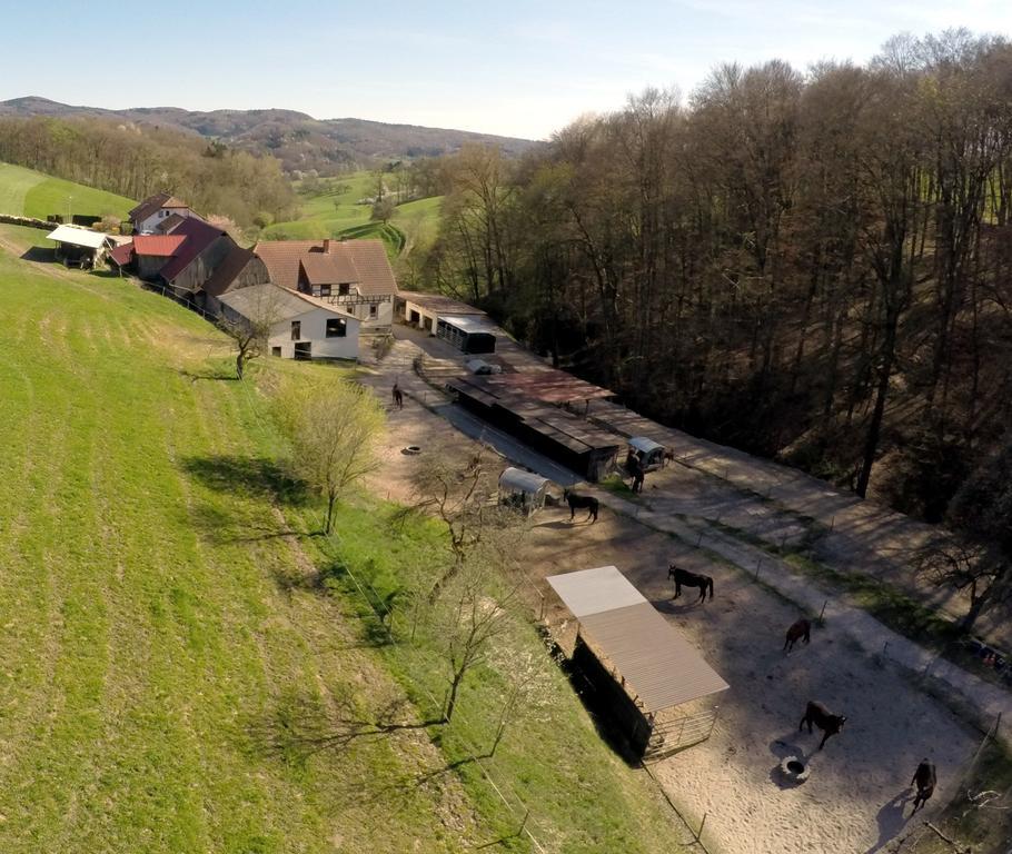 Villa Pferdehof Und Wanderreitstation Doersam Mörlenbach Esterno foto