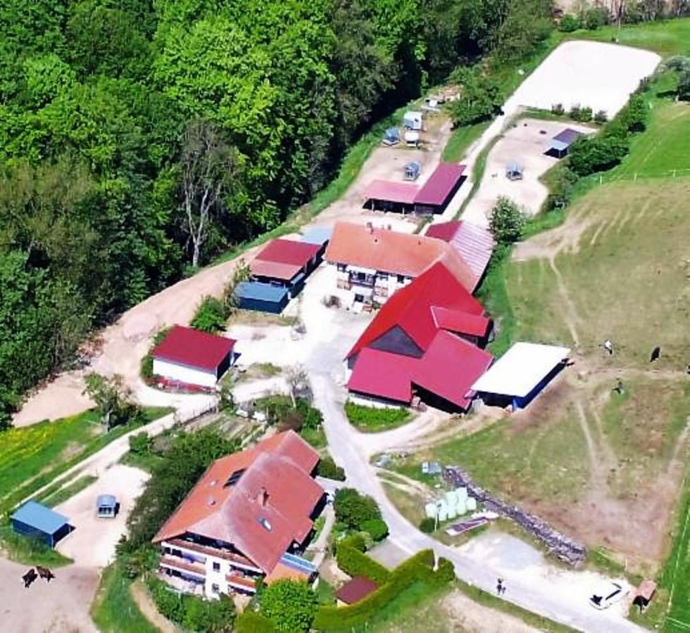 Villa Pferdehof Und Wanderreitstation Doersam Mörlenbach Esterno foto